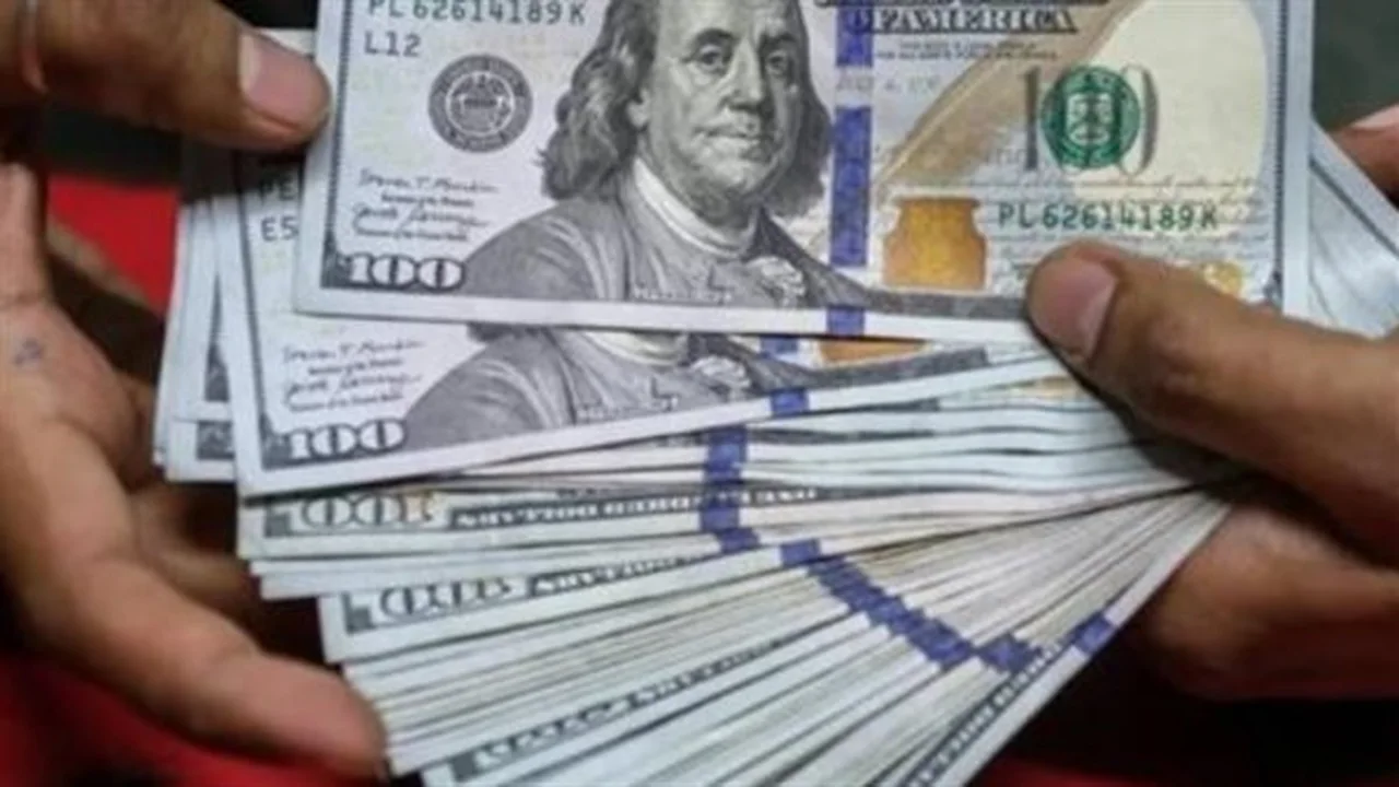 سعر الدولار في مصر يستقر عند 49.63 جنيهًا